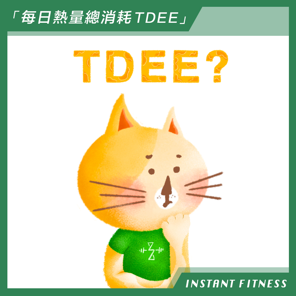減肥前快先了解👉每日熱量總消耗 (TDEE)